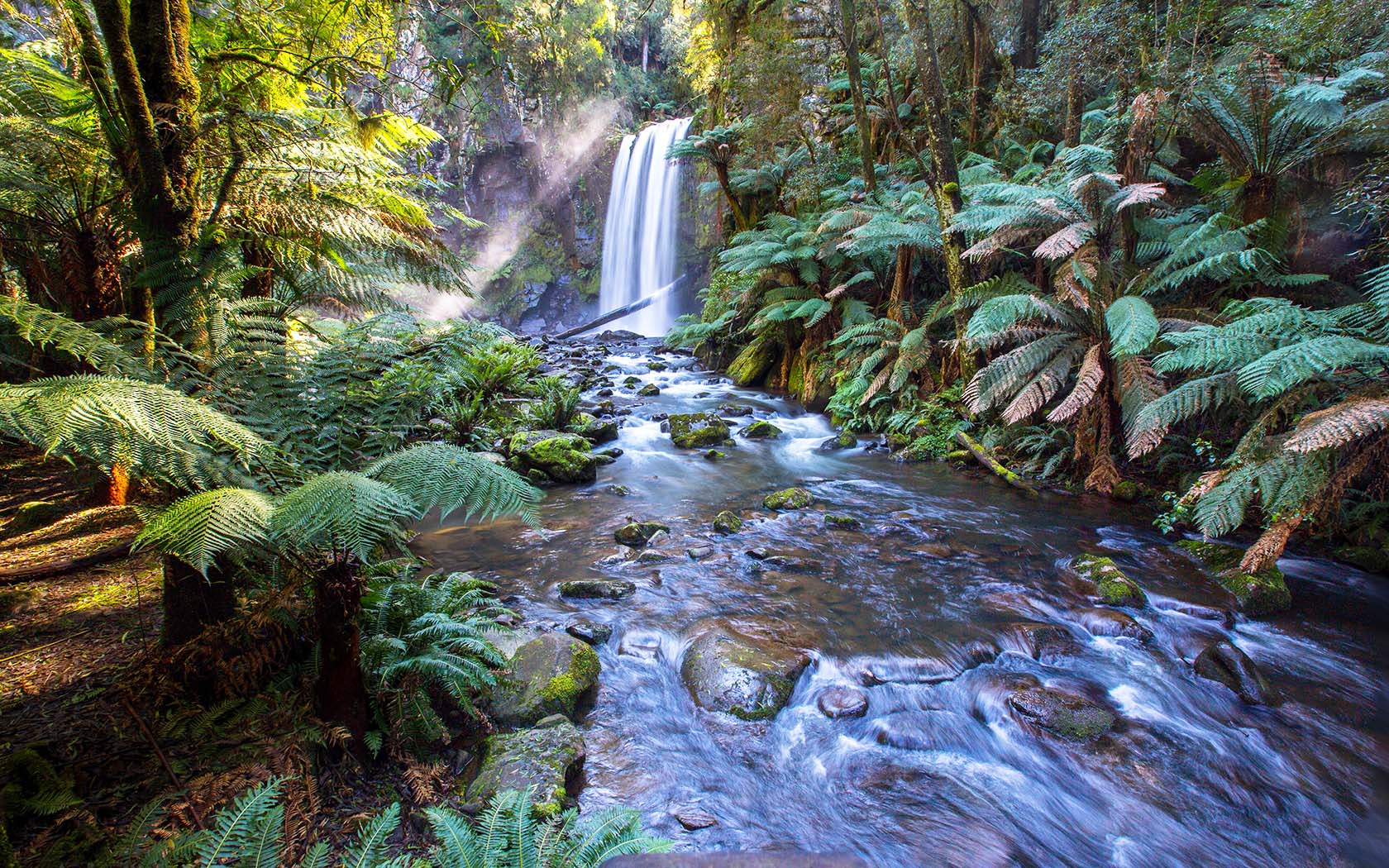Hopetoun Falls, Beech Forest, Australia