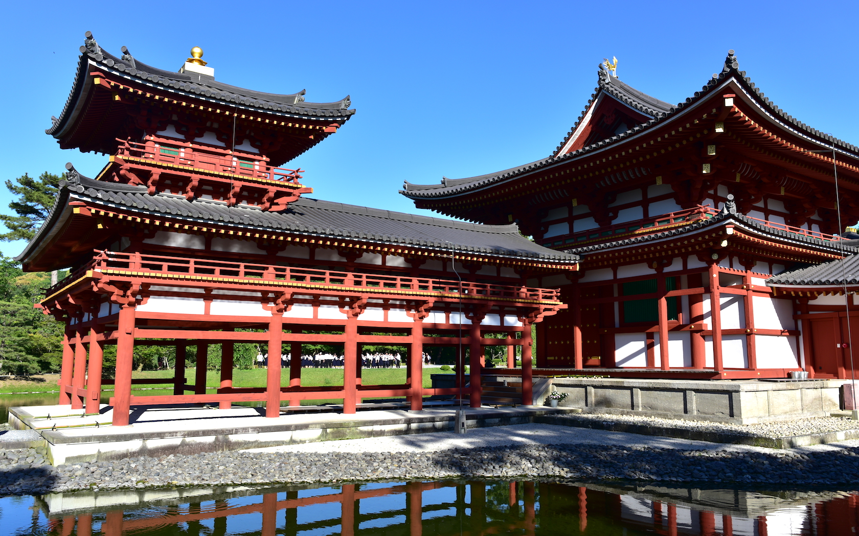 temple, buddha, japan