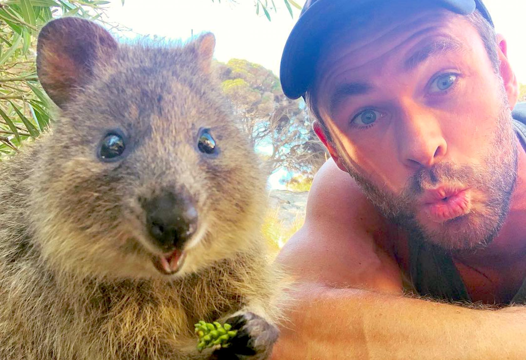 Chris Hemsworth posing for a quokka selfie on Rottnest Island