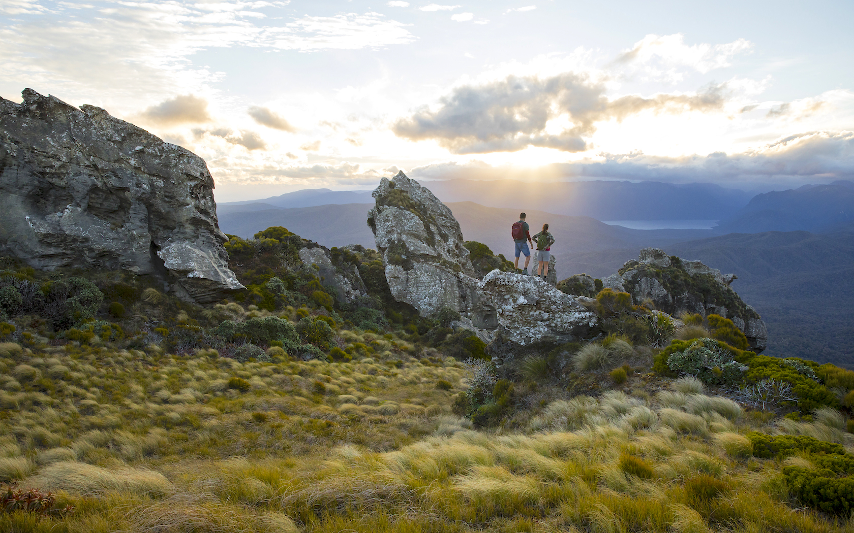 Hump Ridge Track Has Been Named New Zealand's Latest Great Walk