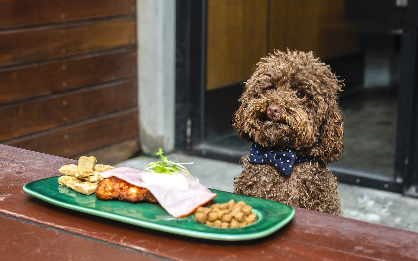 Newmarket Hotel In Melbourne Is Serving A $5 Puppy Parma For Dogs