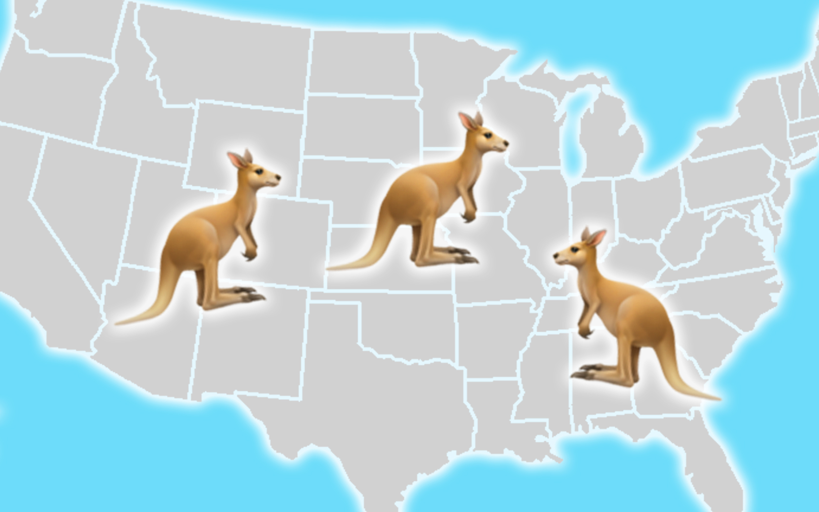 Can You Own A Kangaroo As A Pet? You Sure Can In These US States