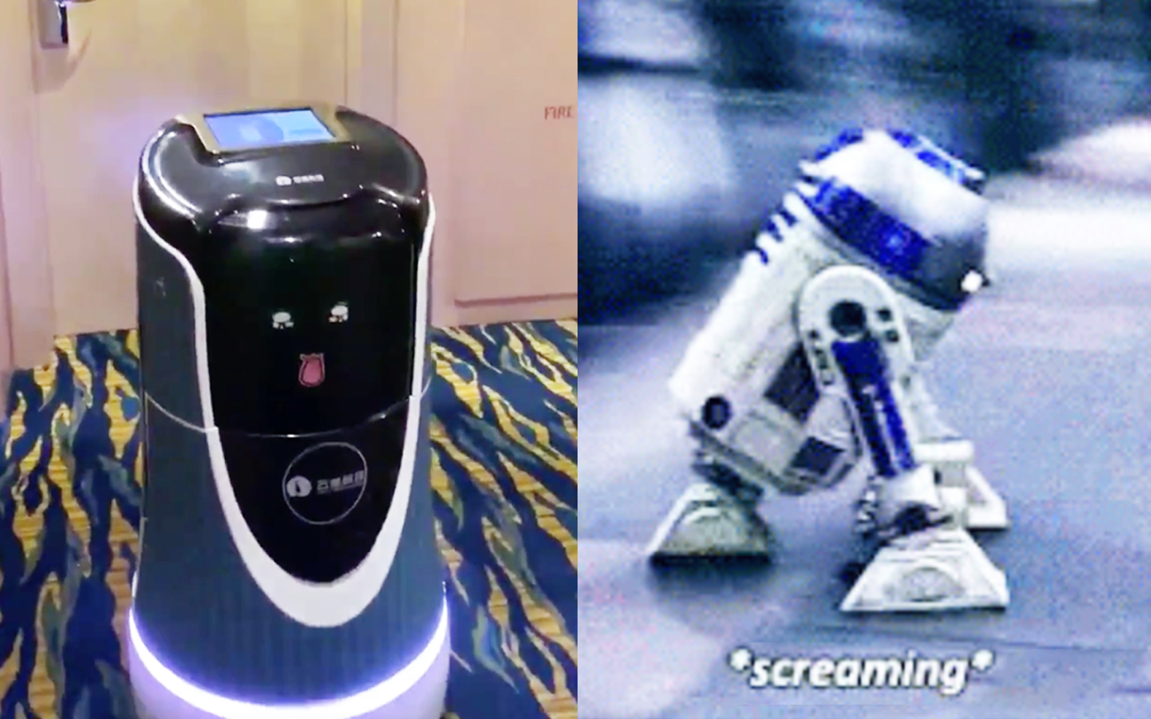 Room Service Robot: All The Best Reactions To This Cute Robot Butler