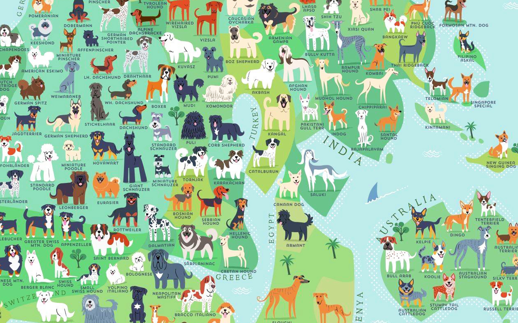 Dog Breeds Map: The Country Every Major Breed Of Dog Comes From
