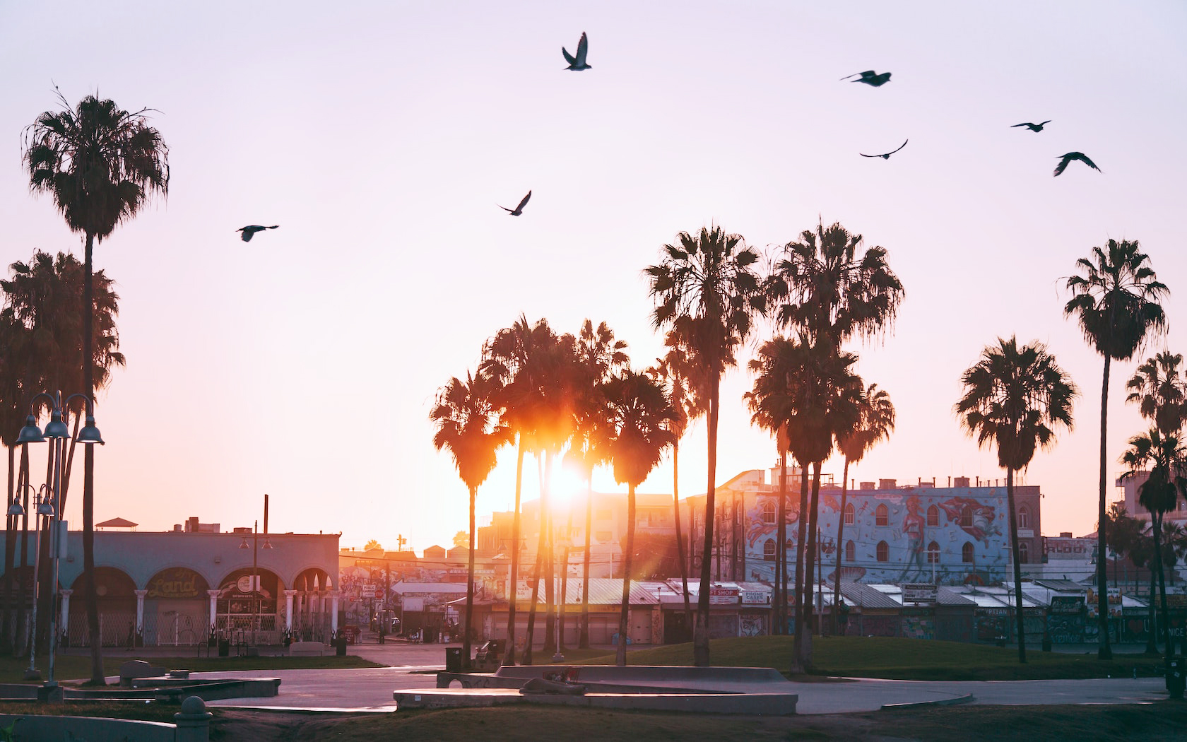 Cheap Flights: Fly From Sydney To California For $662 Return