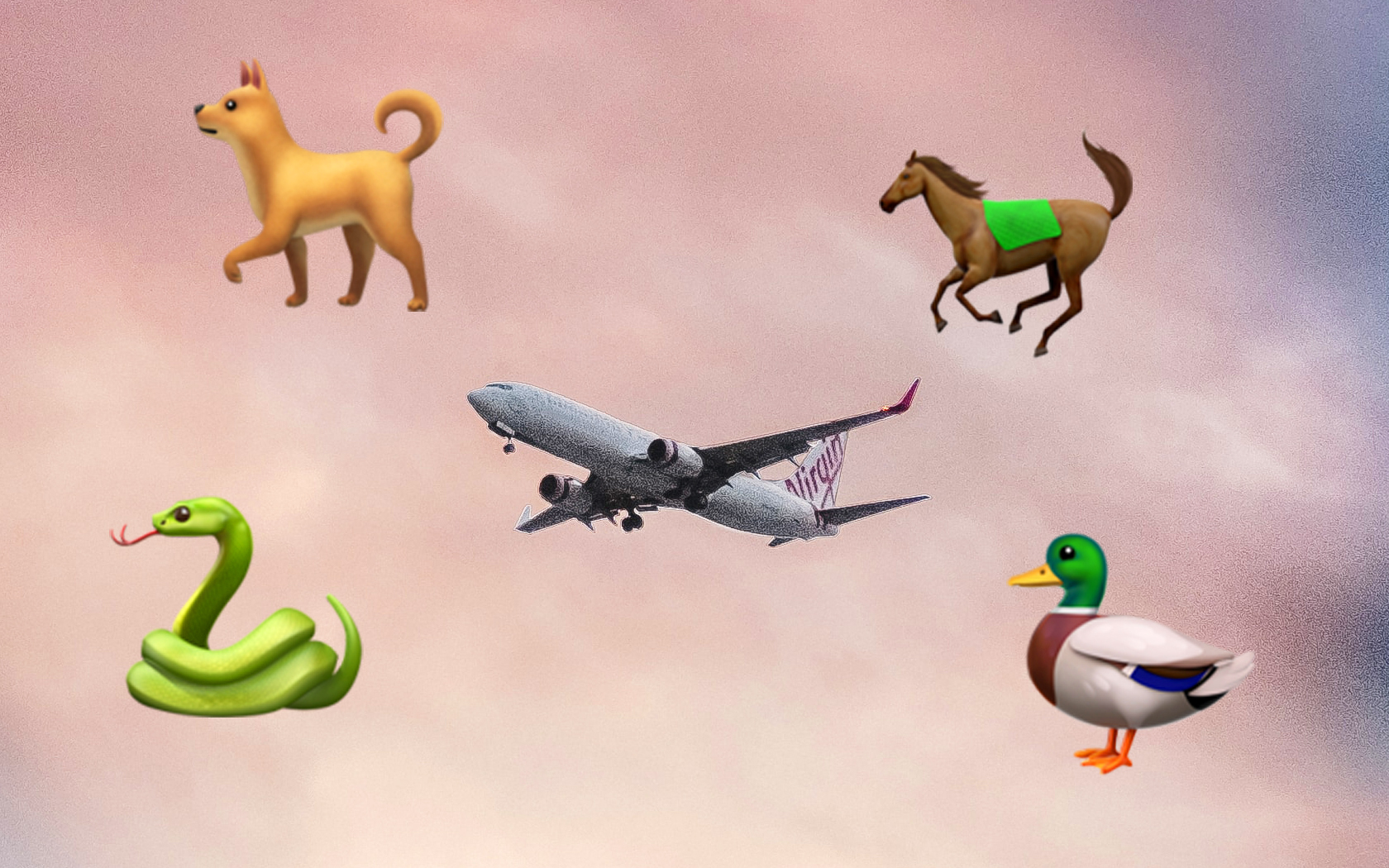 Animals On Planes: Ranking The Animals People Have Taken On Planes
