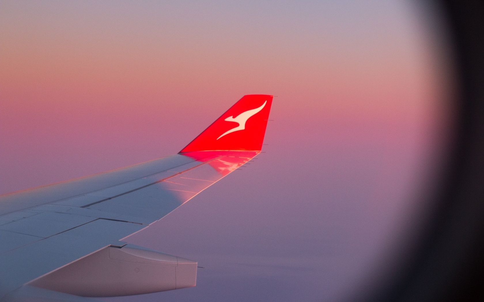 wing of qantas plane during pink sunset
