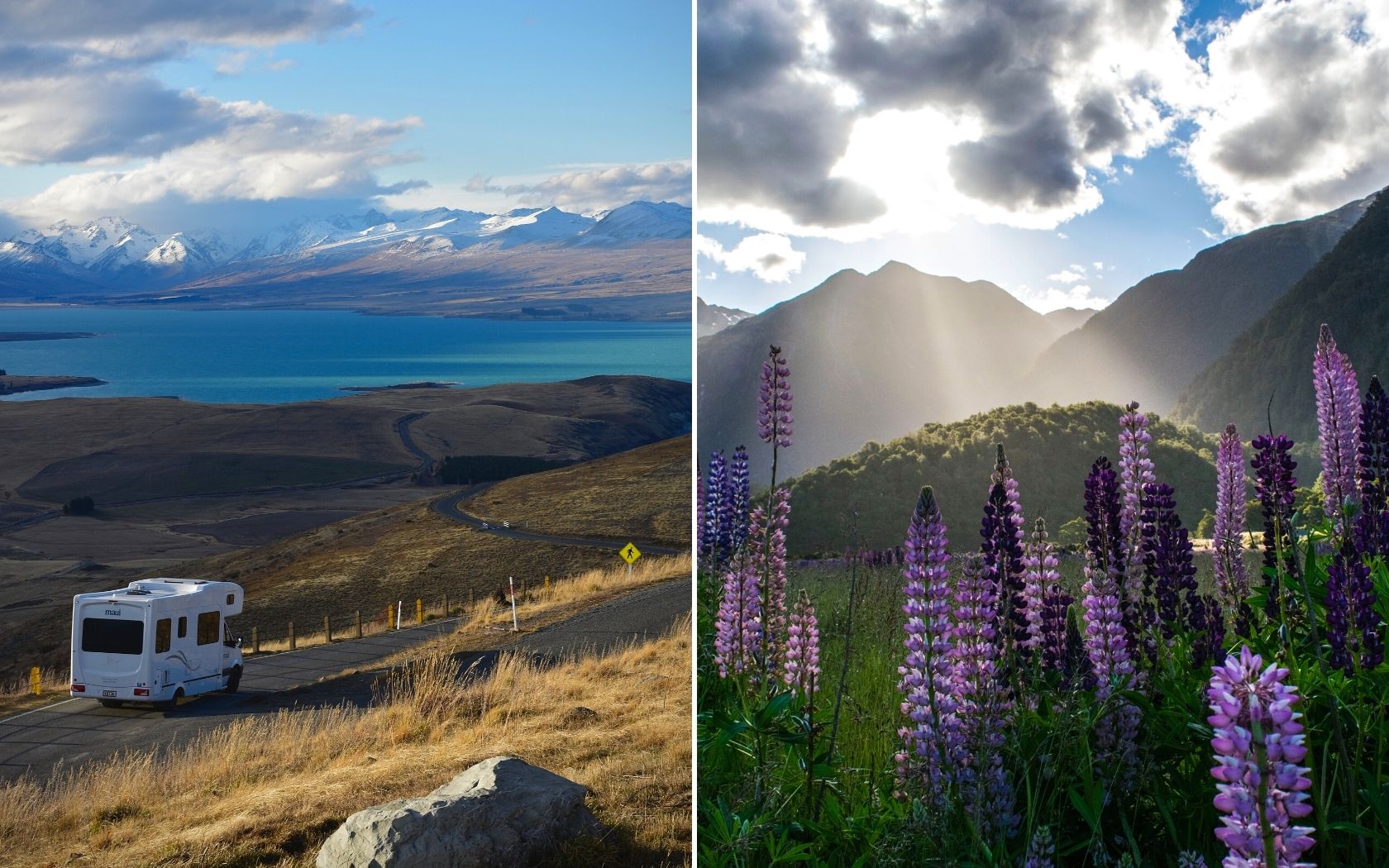new zealand road trips lonely planet